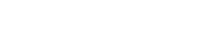 Logo VNIS Group - Vietnamese