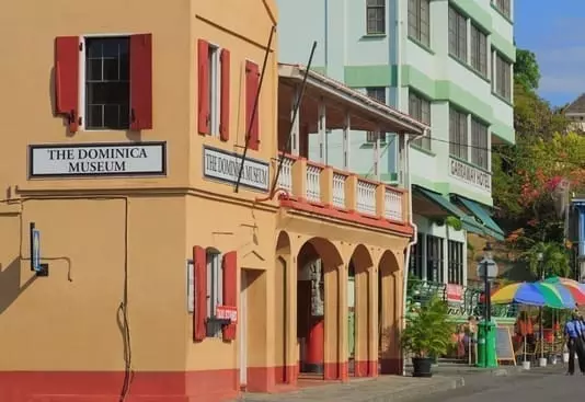 Bước 2 - Đương đơn chuẩn bị Hồ sơ Quốc tịch (CBI) lên Chính phủ Dominica