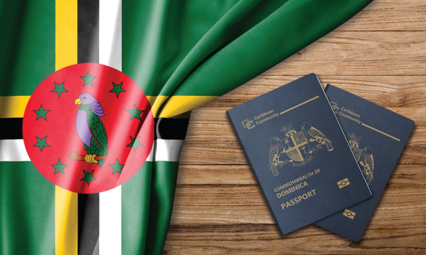 Quy trình Nộp đơn xin Quốc tịch Dominica diện Đầu tư