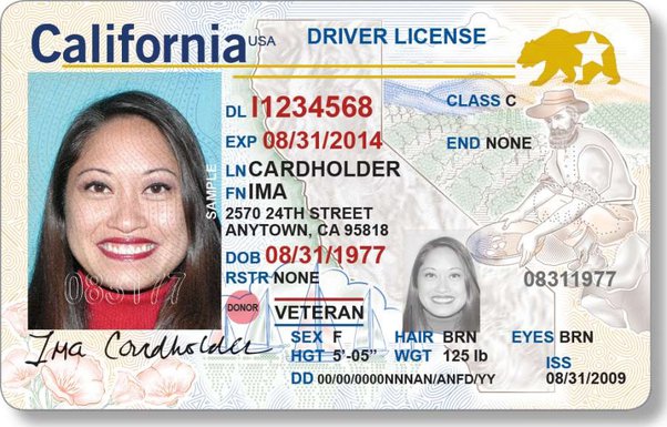 Thi bằng lái xe ở Mỹ - Một hướng dẫn đầy đủ cho người Việt